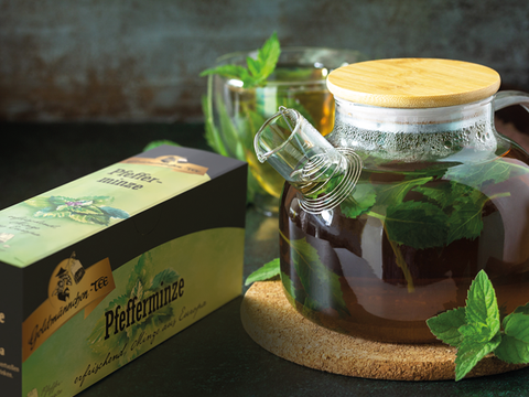 Pfefferminze aus Europa